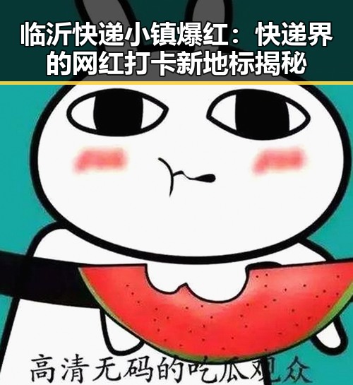 临沂快递小镇爆红：快递界的网红打卡新地标揭秘