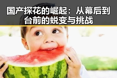 国产探花的崛起：从幕后到台前的蜕变与挑战